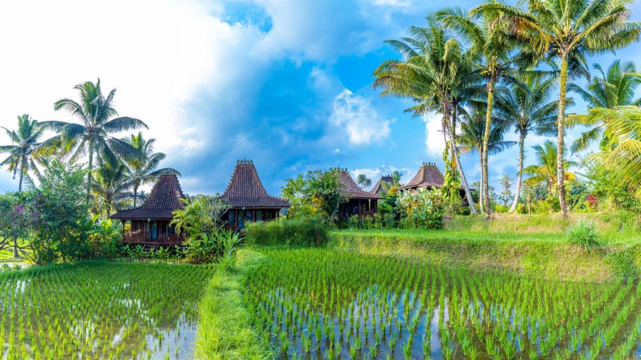 Villa Neyang 우붓 외부 사진