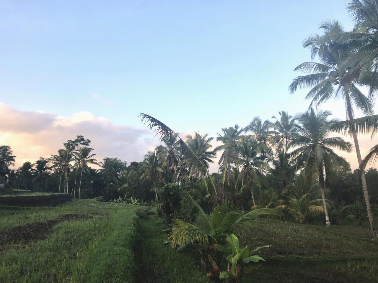 Villa Neyang 우붓 외부 사진