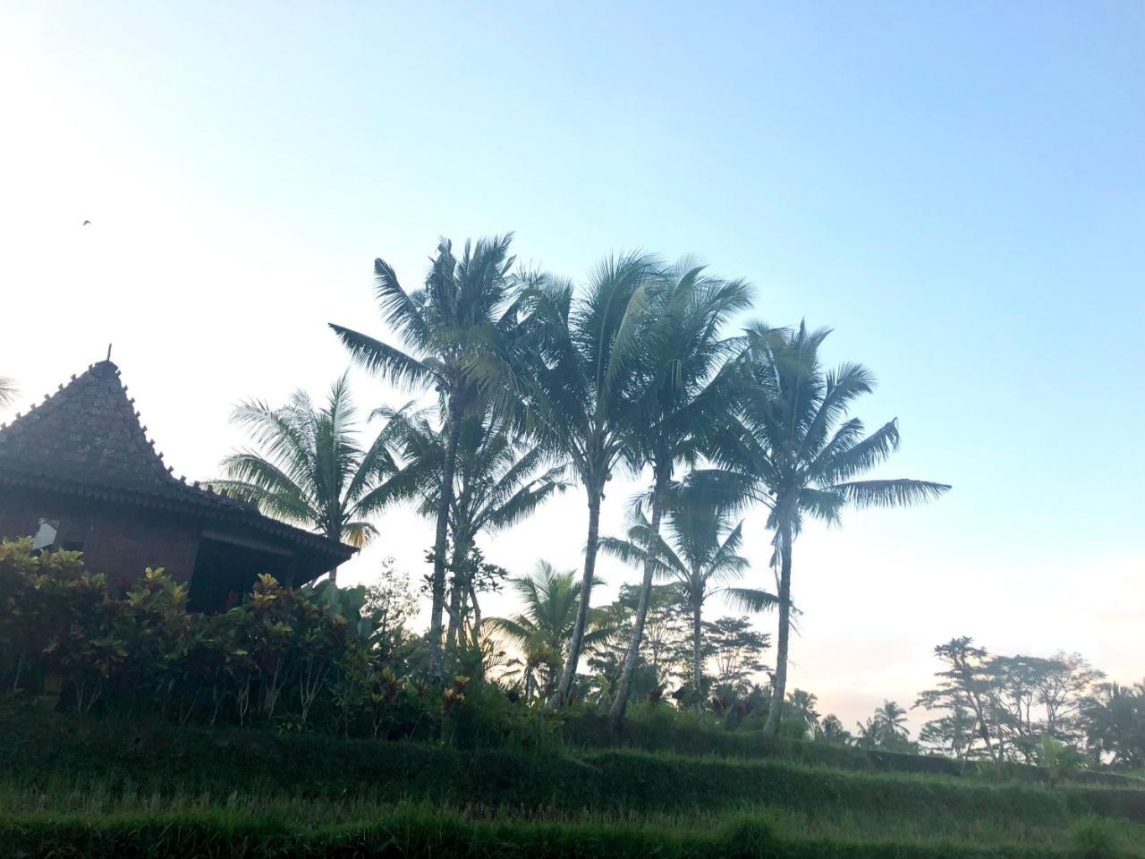 Villa Neyang 우붓 외부 사진
