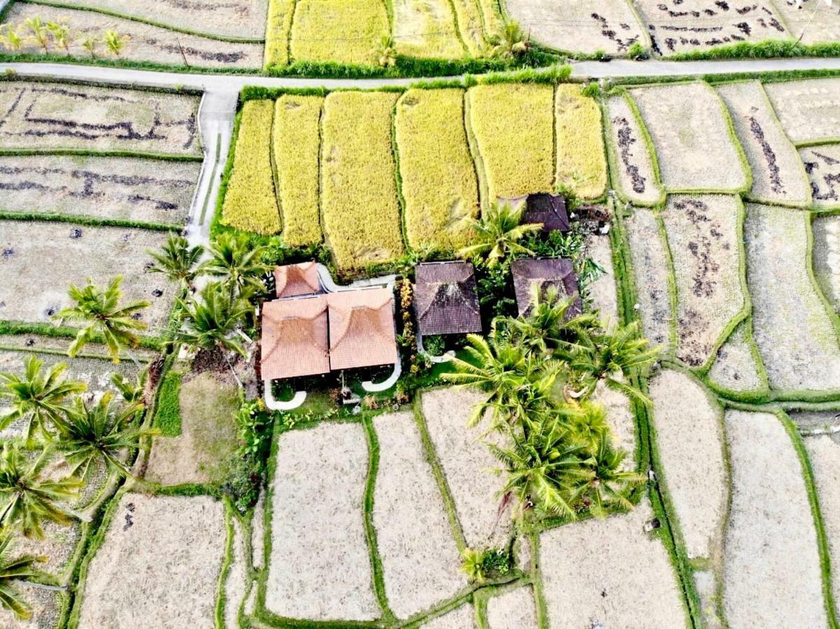 Villa Neyang 우붓 외부 사진