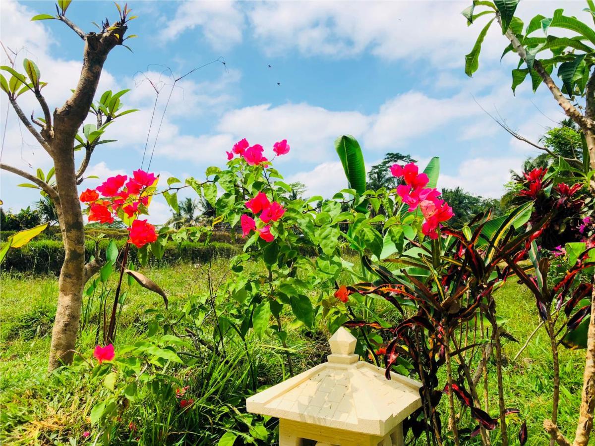 Villa Neyang 우붓 외부 사진