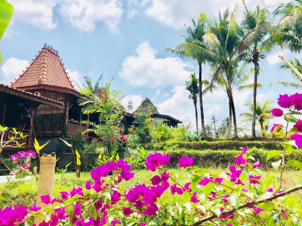 Villa Neyang 우붓 외부 사진
